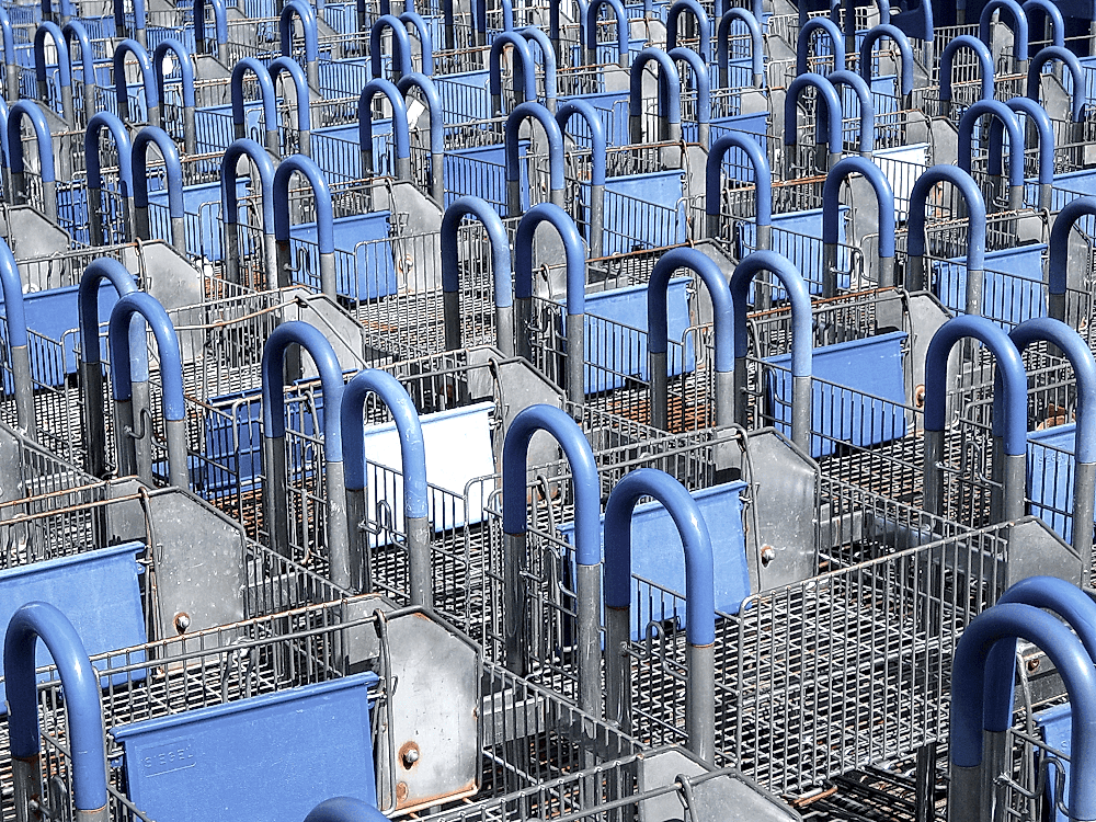 Impacts of E-Commerce on Banana Sales Channels
