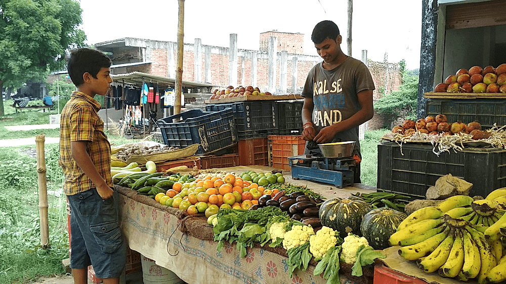 Ways to Build Consumer Loyalty in the Banana Market