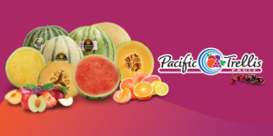 Pacific Trellis Fruit: Masters of Year-Round Premium Produce | Produce ...