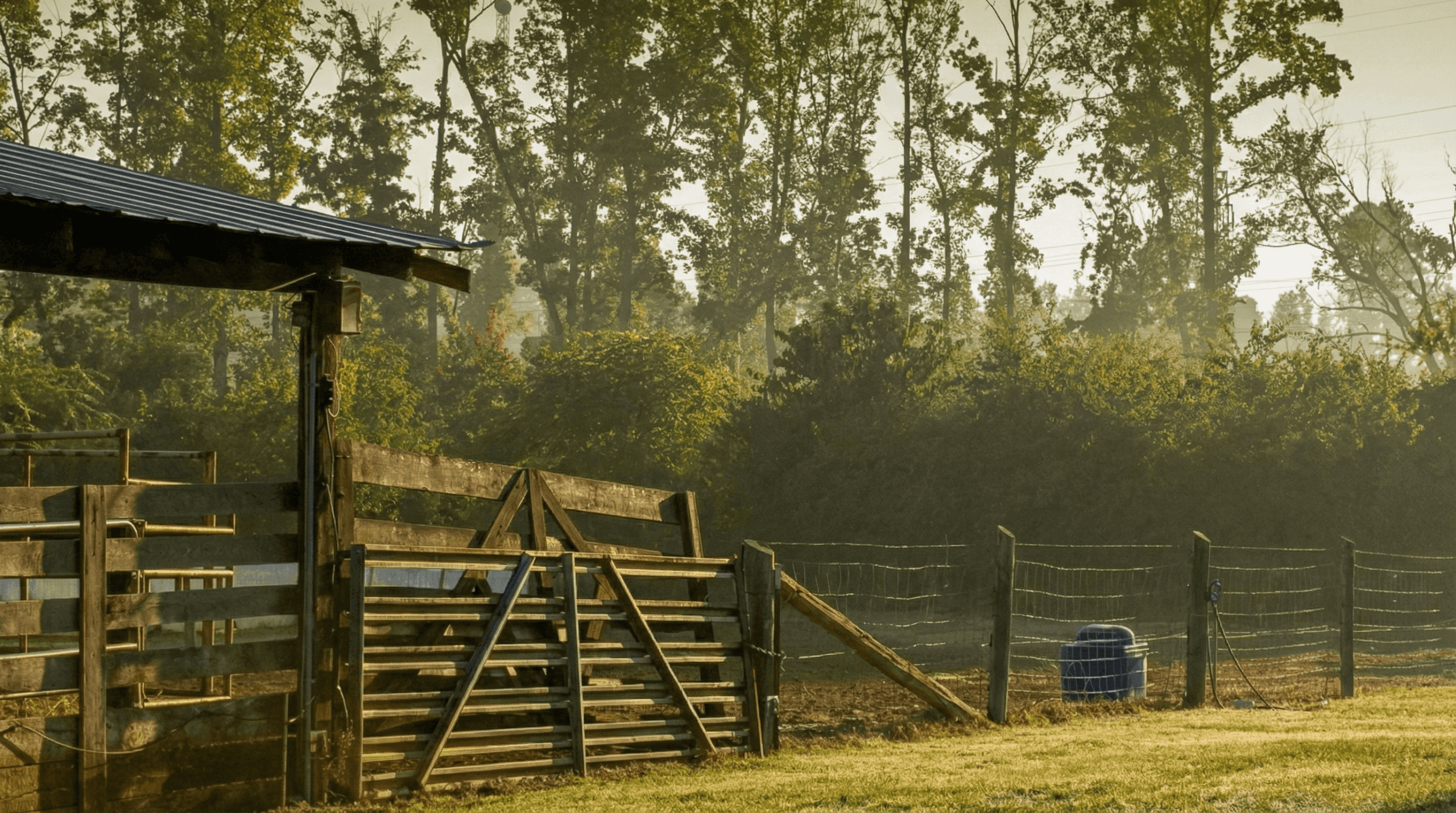 Farmers Urge Congress for Immediate Financial Support