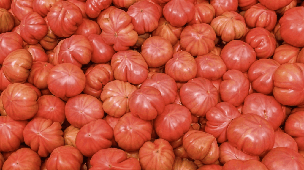 Spanish Fresh Produce Exports Decline in 2025