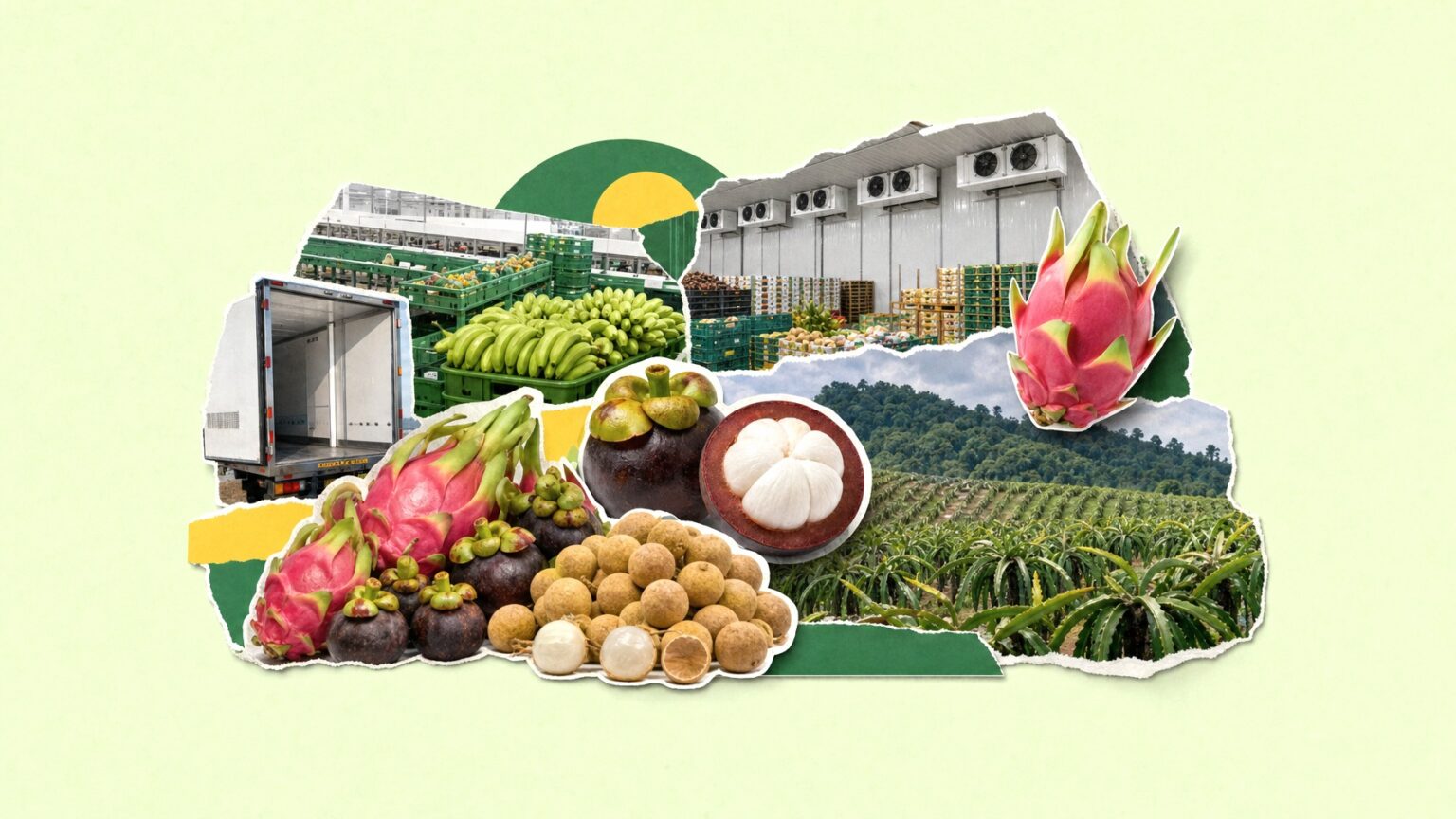 Asia Fruit Logistica 2026 Welcomes New Fresh Produce Partner