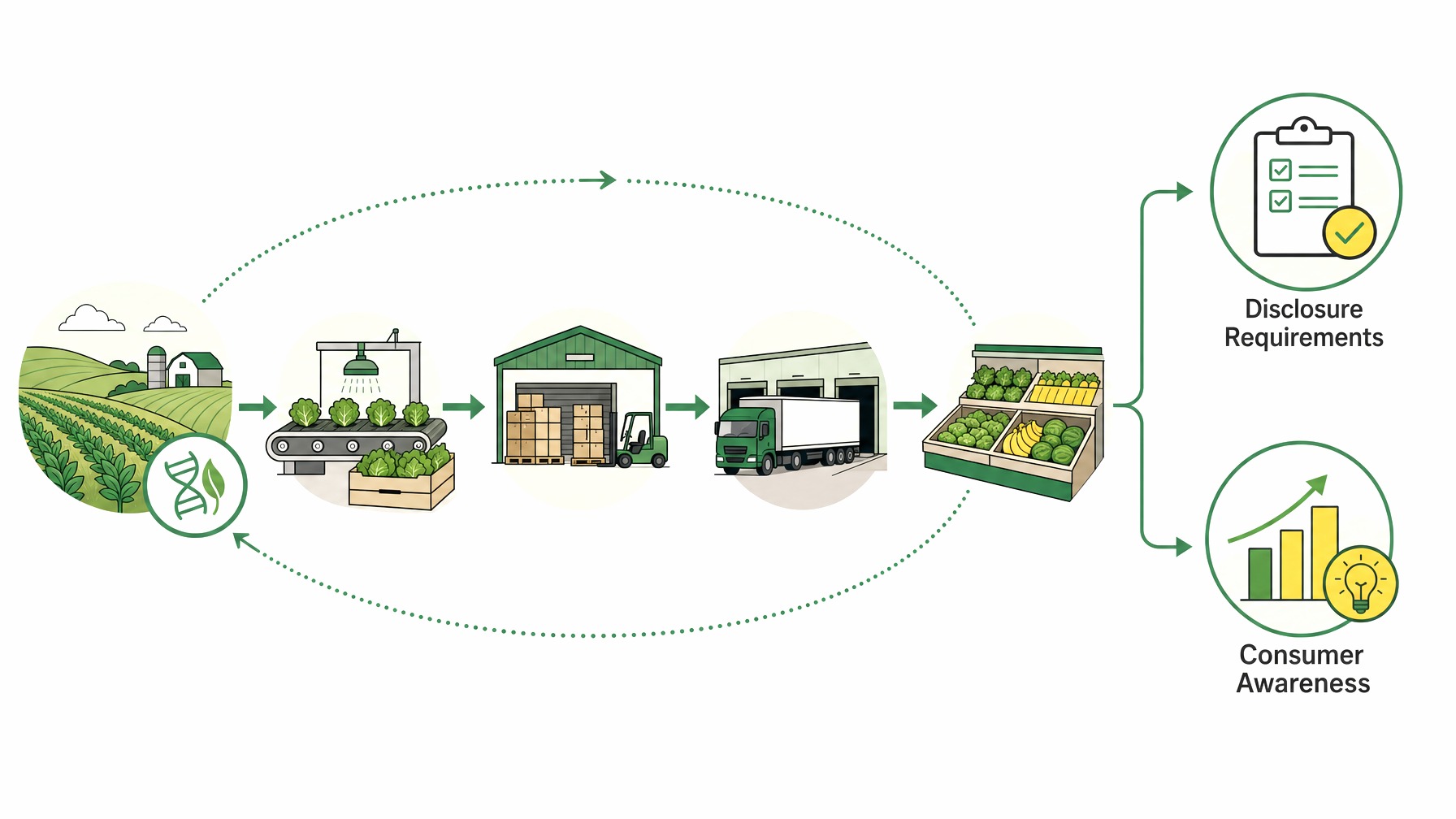 Infographic illustrating GMO labeling process in produce.