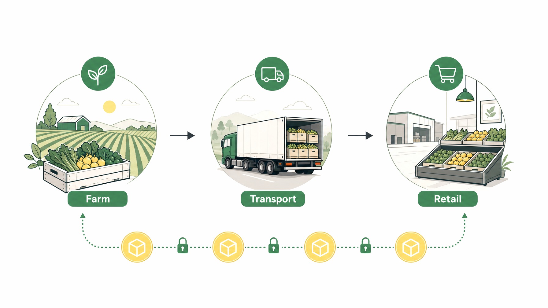 Supply chain transparency infographic with blockchain and supply stages.