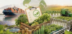 Emerging Policies Influencing Organic Produce Markets