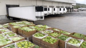 Best Practices for Optimizing Fresh Produce Logistics