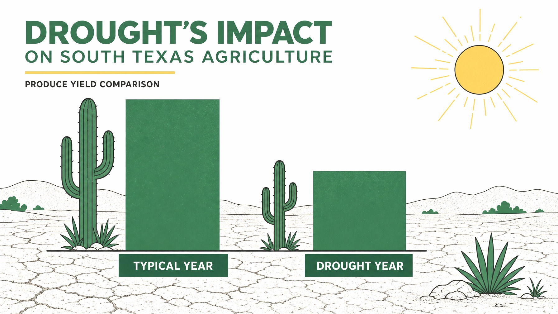 Bar chart comparing typical 80 million and drought-year 40 million acres yields.