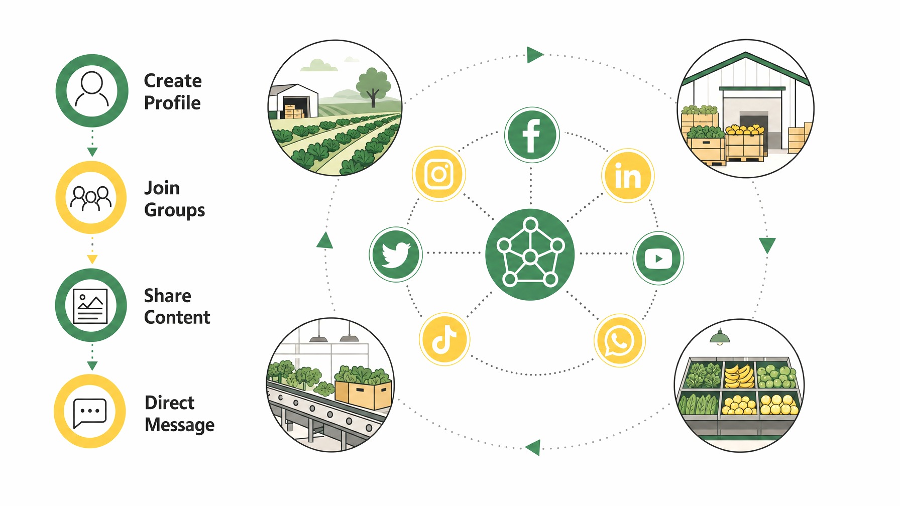 Social media networking strategies infographic.