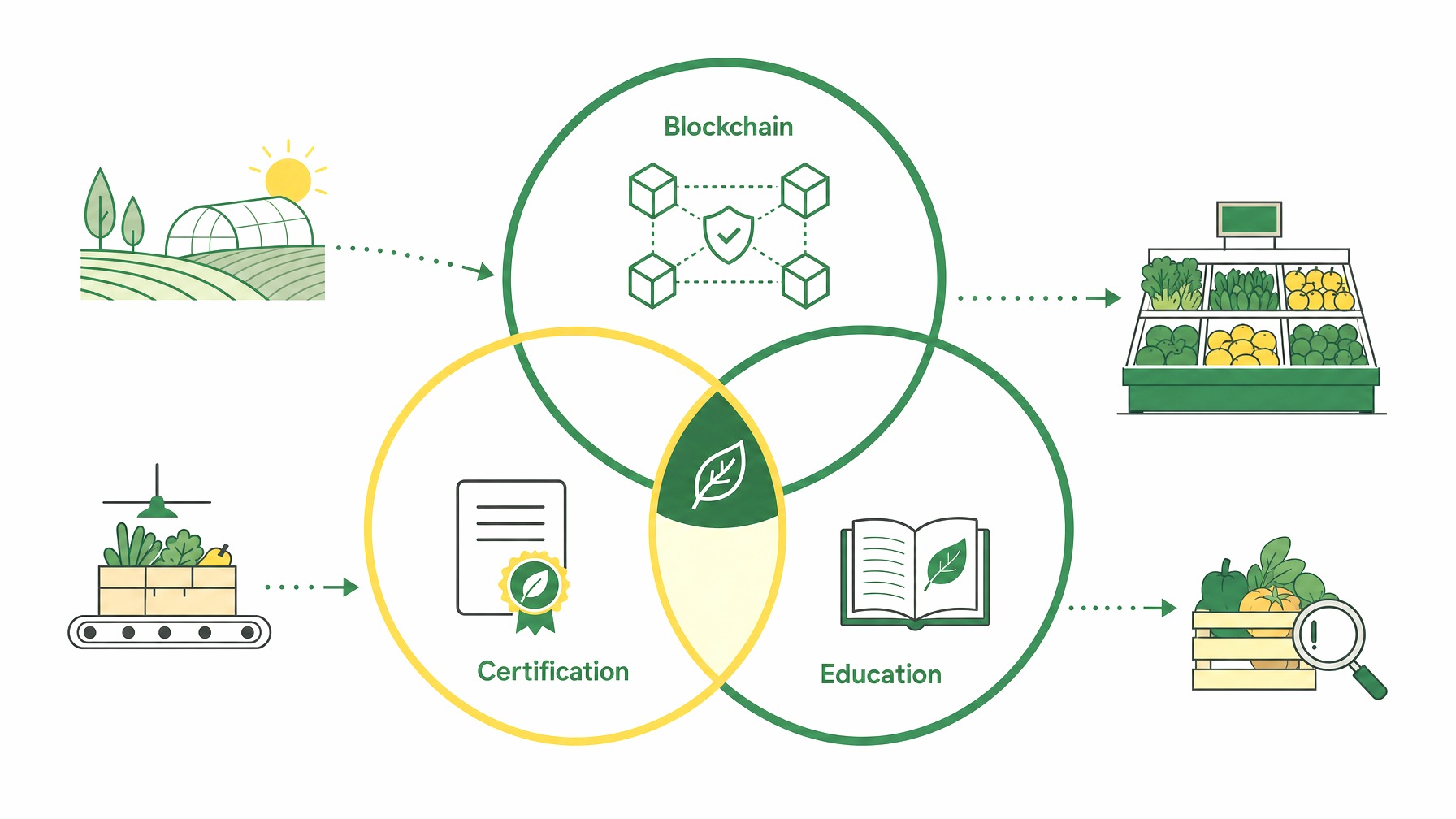 Infographic illustrating demand for transparency in organic produce with blockchain and certification elements.