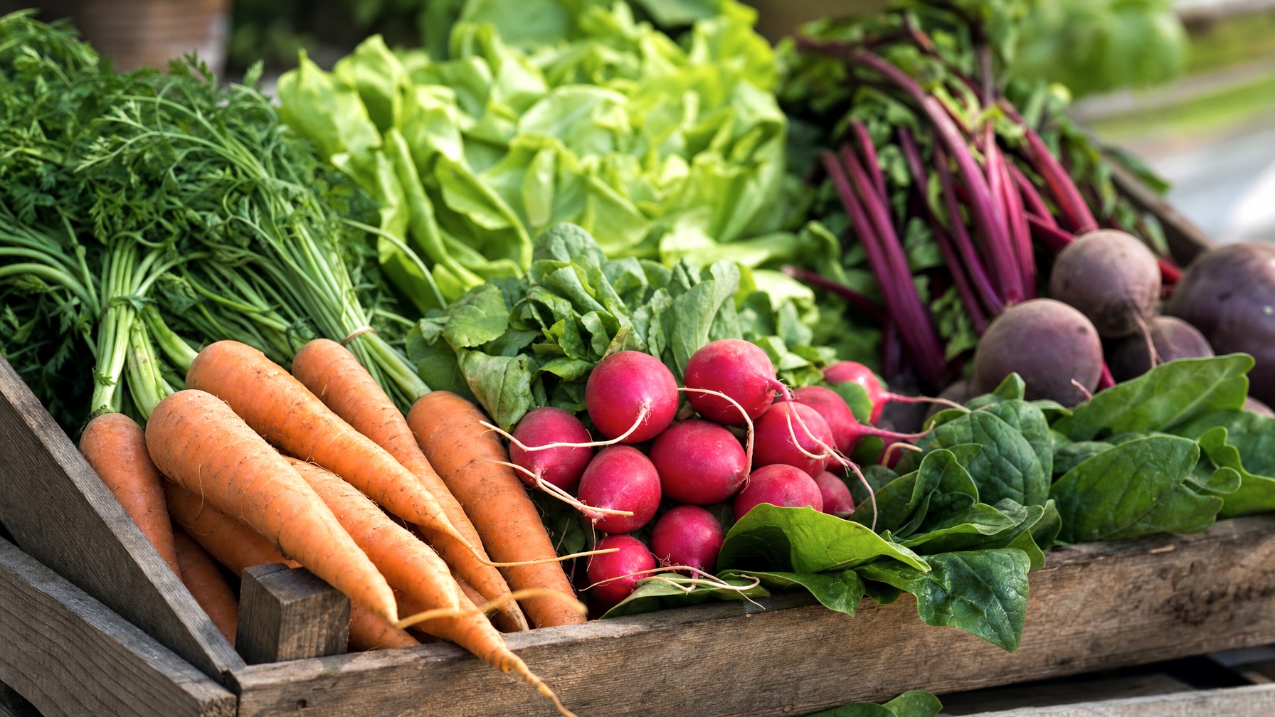 TruSource's New Collective Aims to Strengthen Local Produce Services
