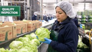 Food Safety Crisis in Fresh Produce Demands Urgent Action