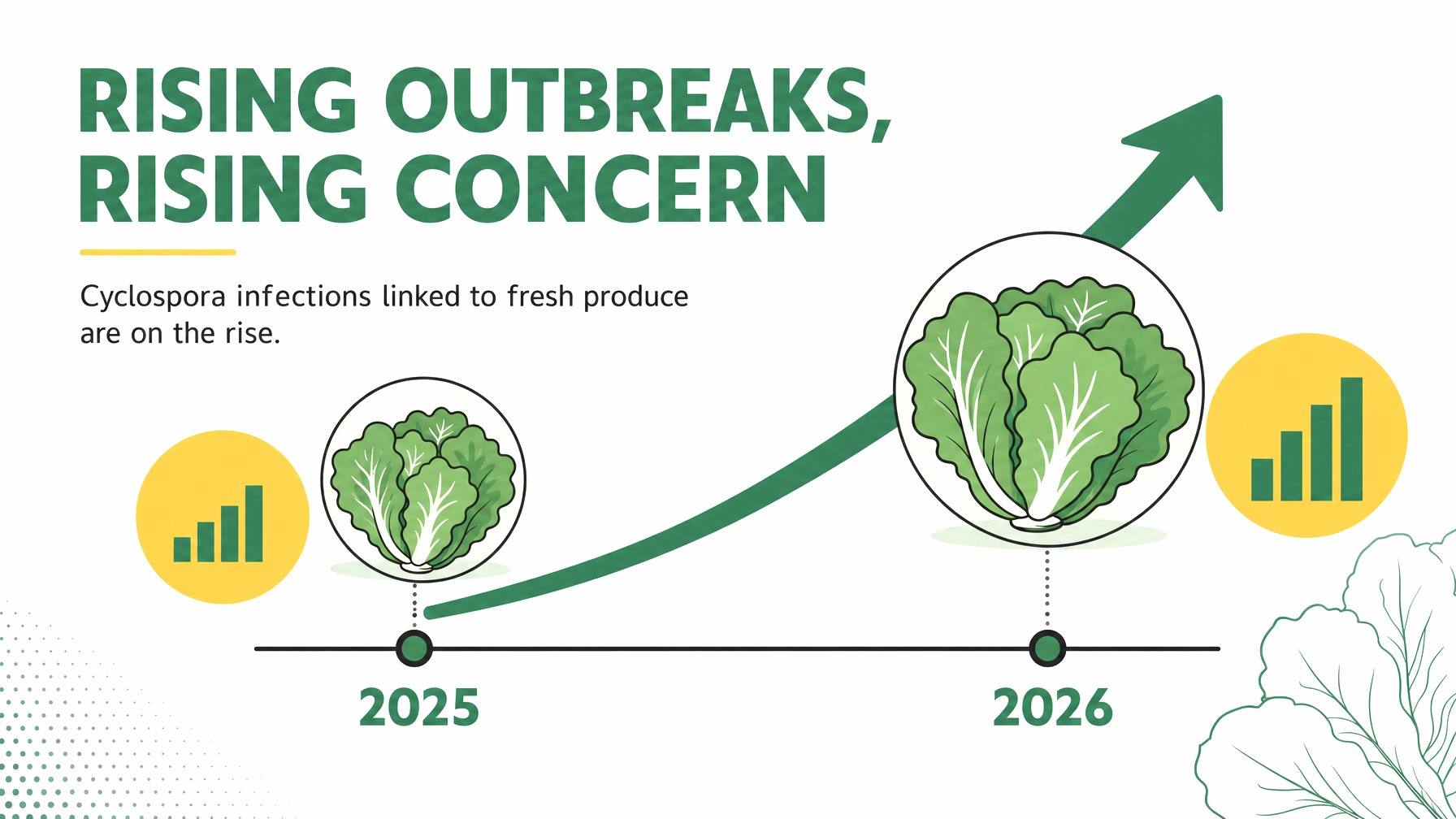 Timeline showing rise in cyclosporiasis cases from 2025 to 2026, with two data points.