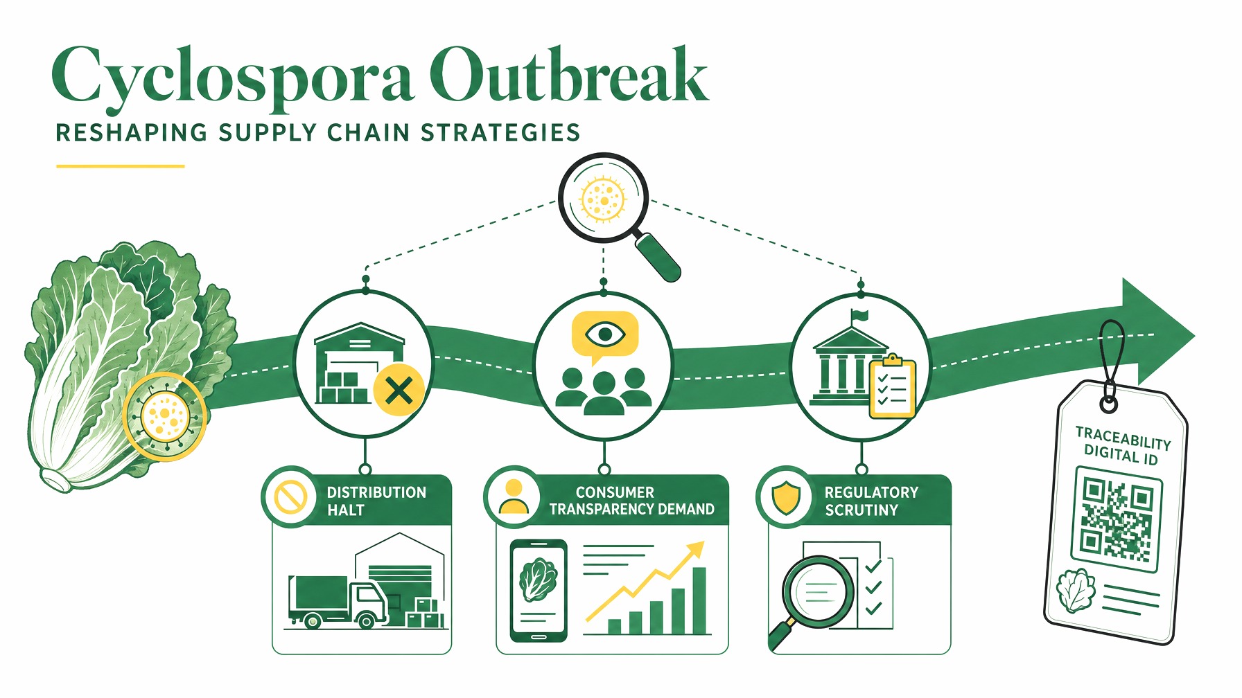 Flowchart showing how Cyclospora outbreak drives supply chain changes via demand, regulations, technology.
