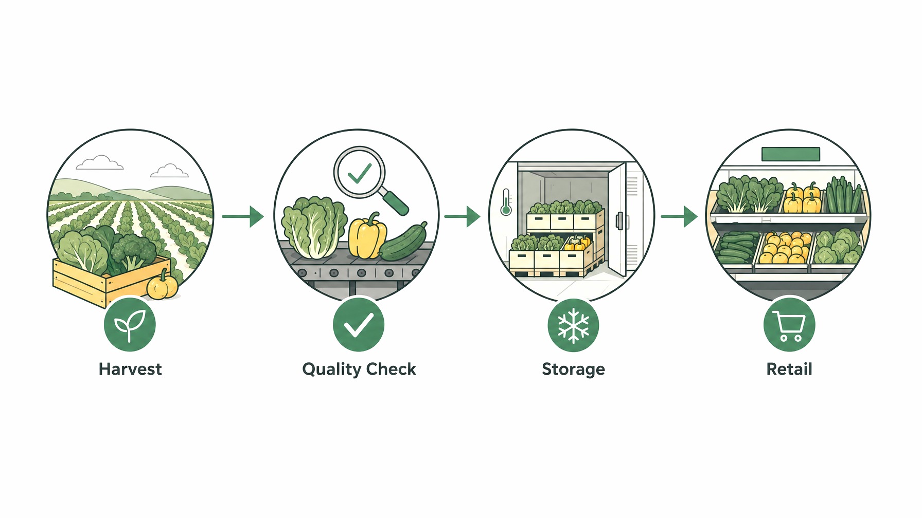 Flowchart of quality assurance in fresh produce.