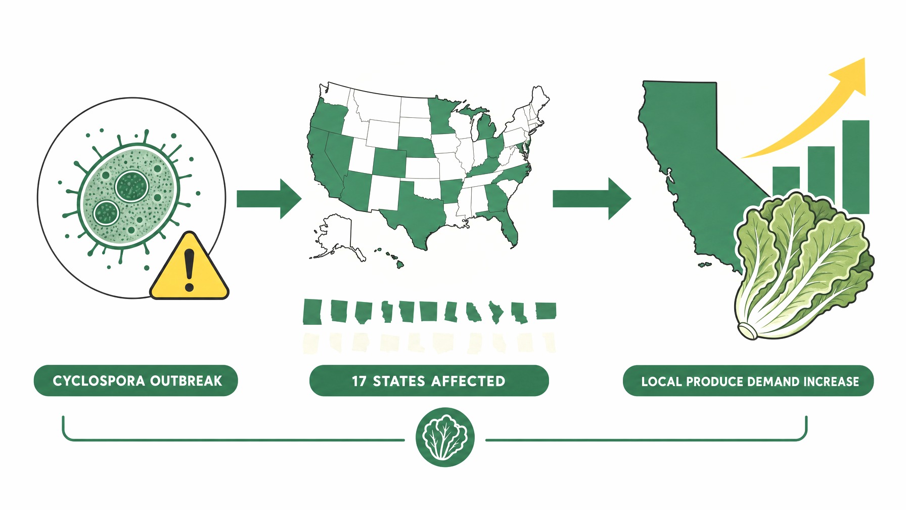 Flow diagram showing Cyclospora outbreak leading to increased local produce demand.