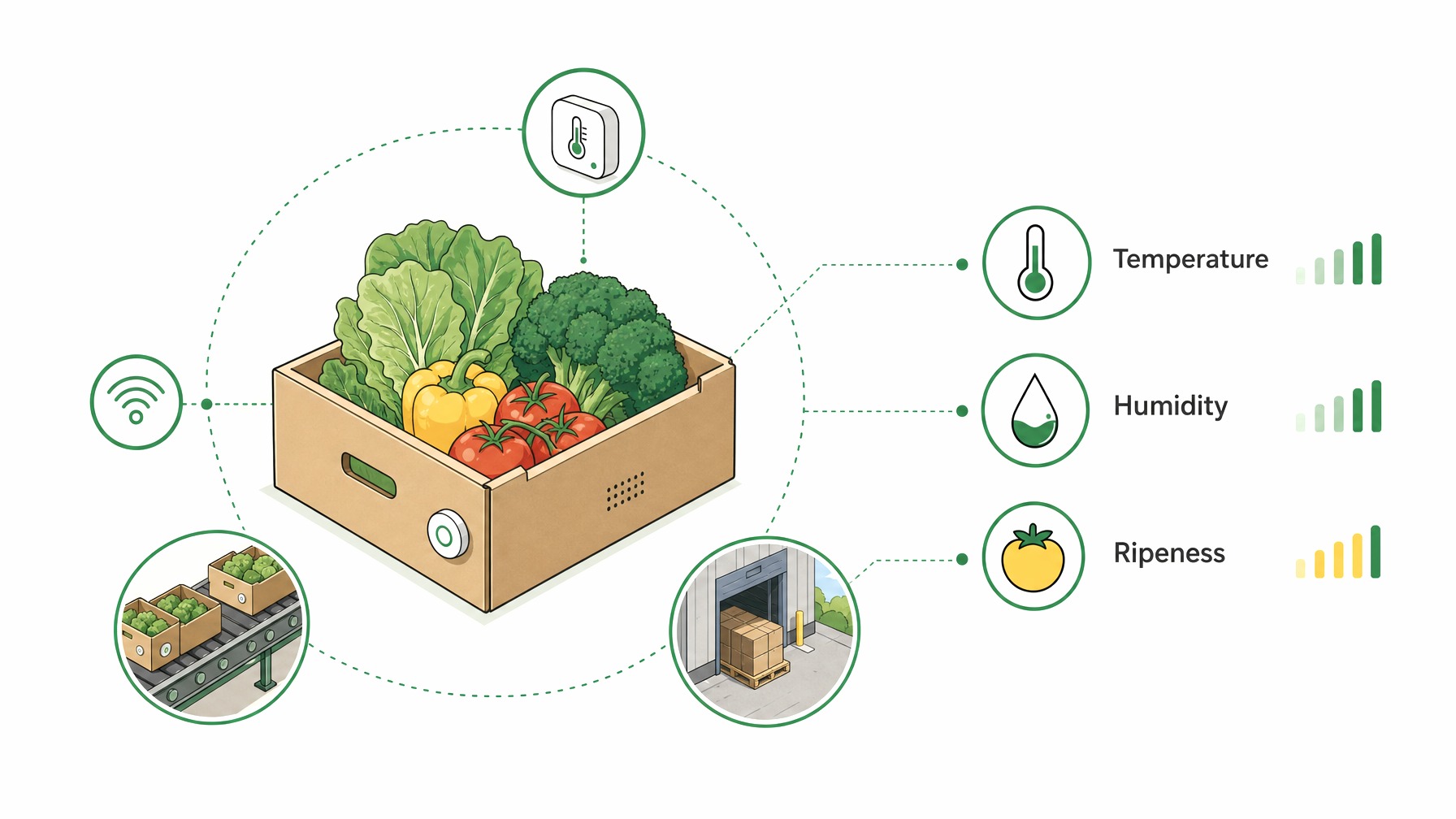 Infographic of smart packaging technology features for produce.