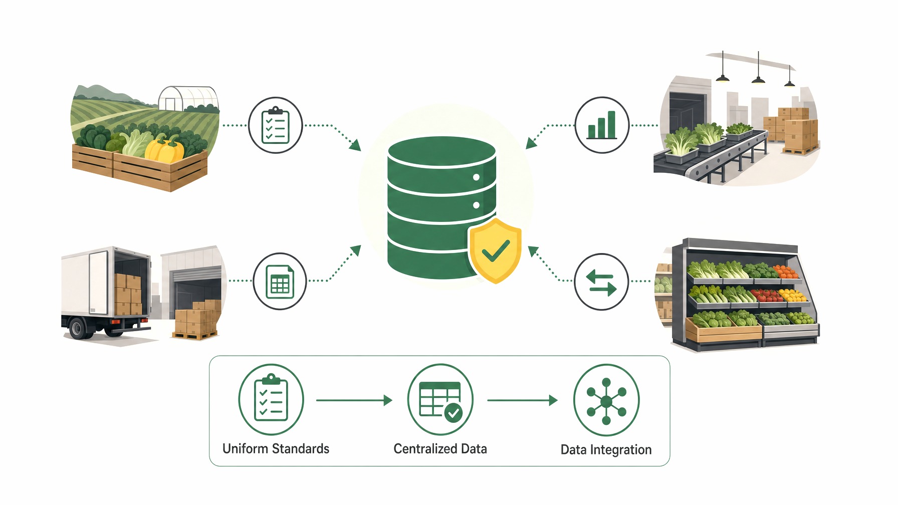 Infographic of data standardization in produce supply chain.