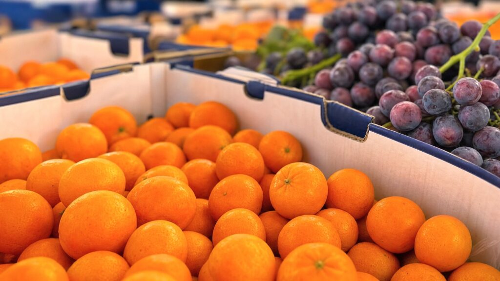 Chilean Produce Exports Set New Record This Season
