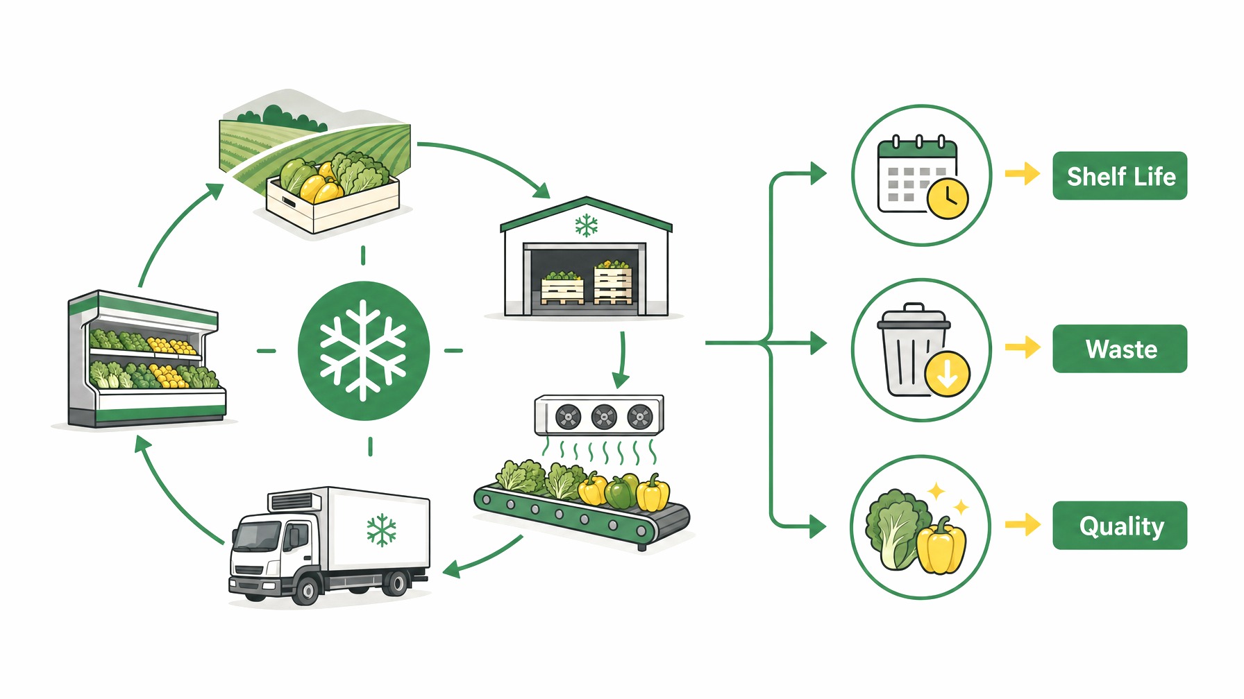 Infographic depicting benefits of advanced cold chain solutions in produce.