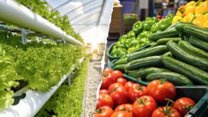 Consumer Fears Spark Drop in Fresh Produce Purchases