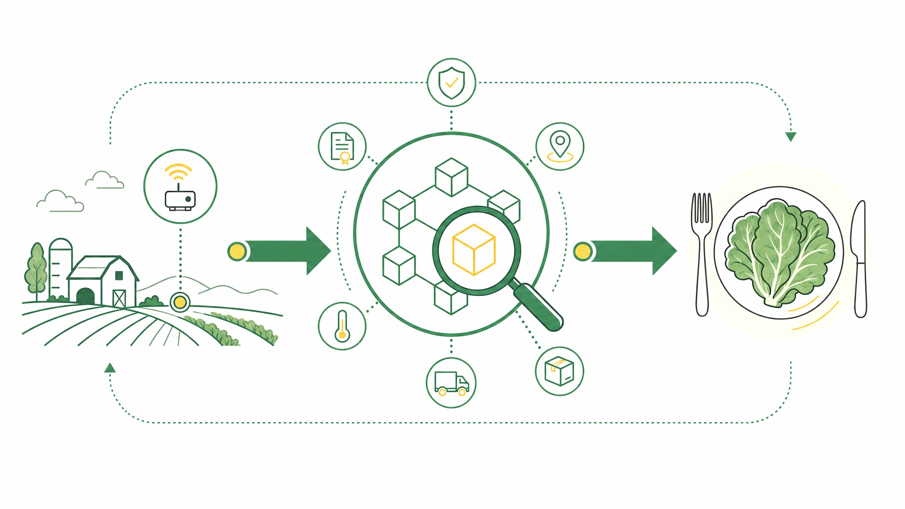 Flow chart with blockchain and IoT tracking lettuce from farm to table.
