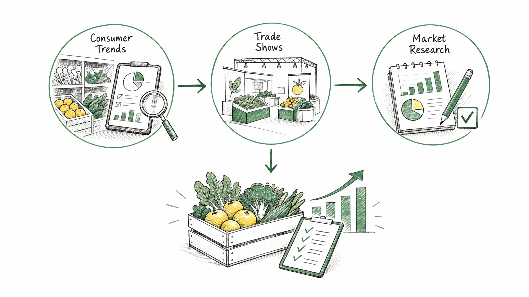 Infographic of understanding market needs in produce trade with consumer trends, trade shows, and market research.